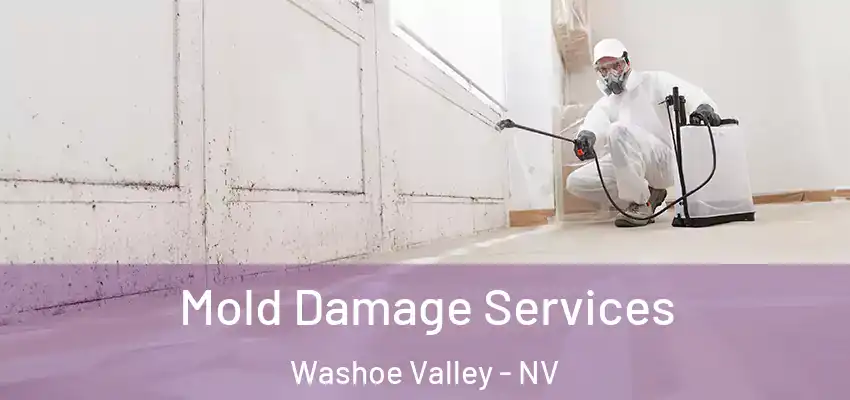  Mold Damage Services Washoe Valley - NV