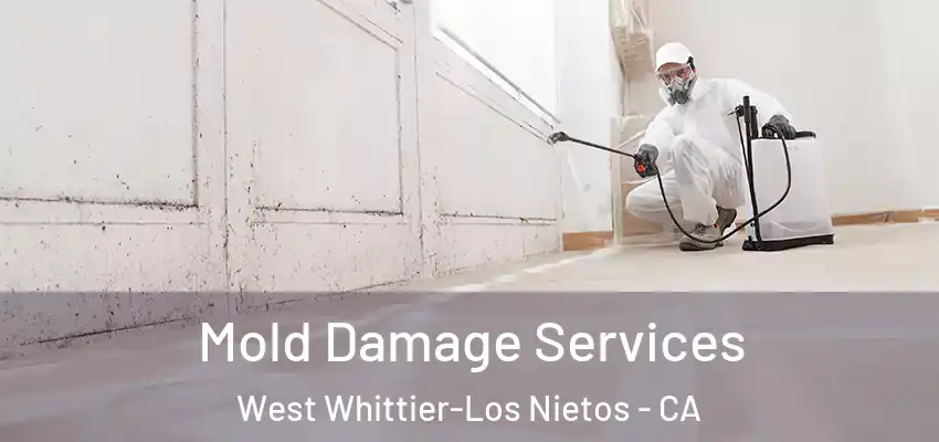  Mold Damage Services West Whittier-Los Nietos - CA