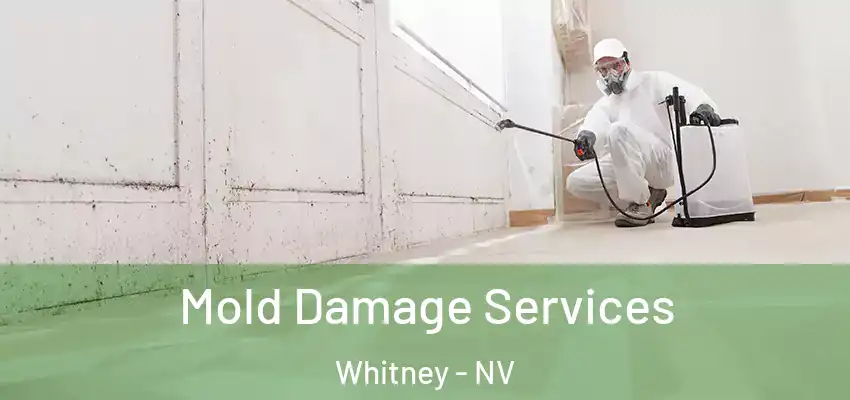 Mold Damage Services Whitney - NV
