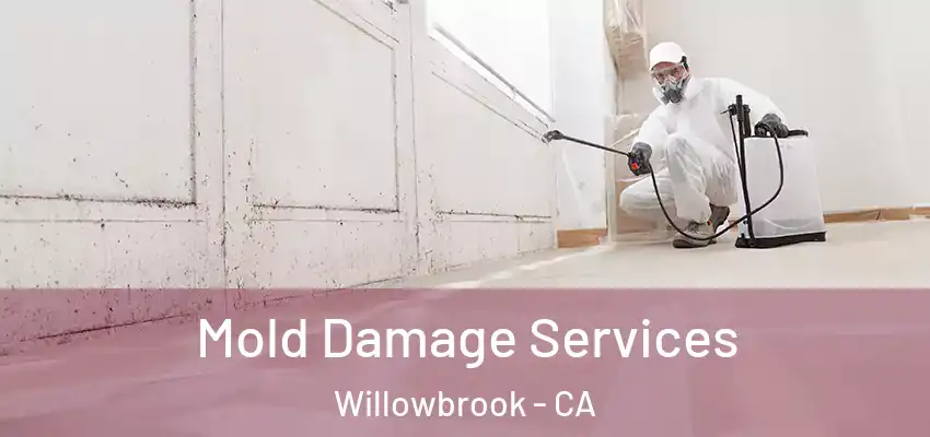 Mold Damage Services Willowbrook - CA