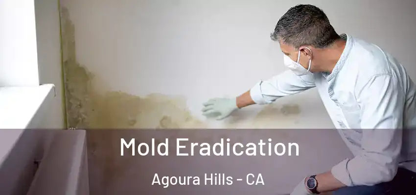  Mold Eradication Agoura Hills - CA