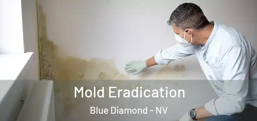  Mold Eradication Blue Diamond - NV