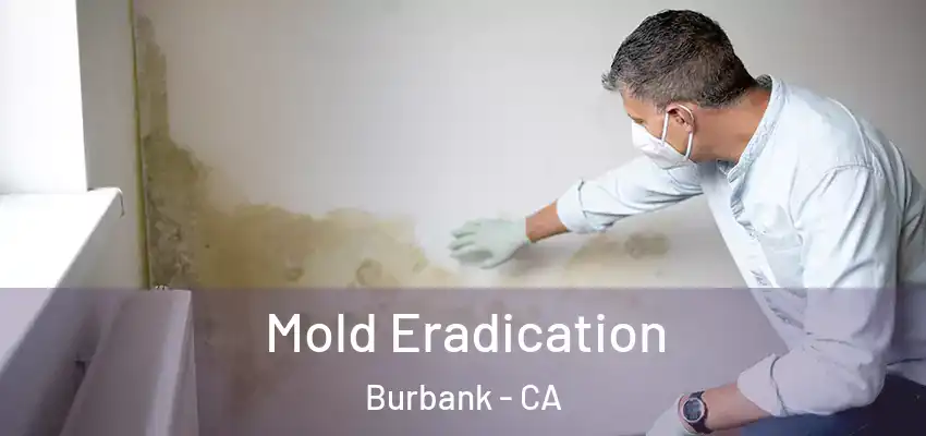 Mold Eradication Burbank - CA