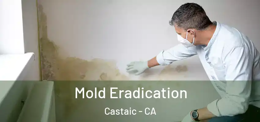 Mold Eradication Castaic - CA