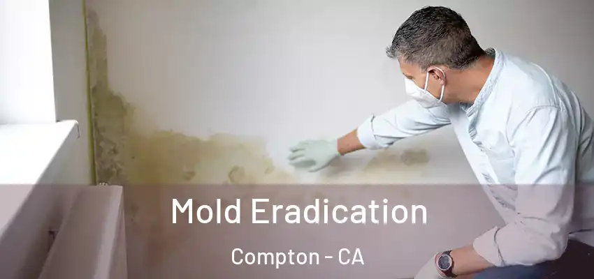  Mold Eradication Compton - CA