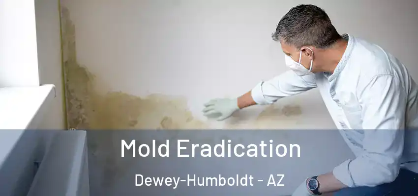  Mold Eradication Dewey-Humboldt - AZ