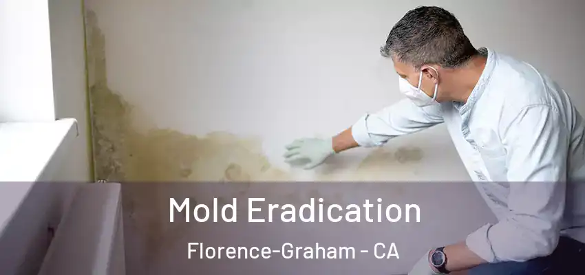  Mold Eradication Florence-Graham - CA