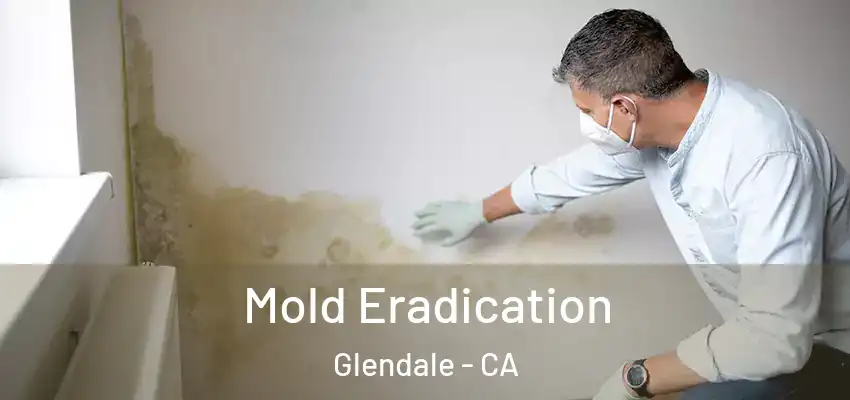 Mold Eradication Glendale - CA