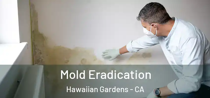  Mold Eradication Hawaiian Gardens - CA