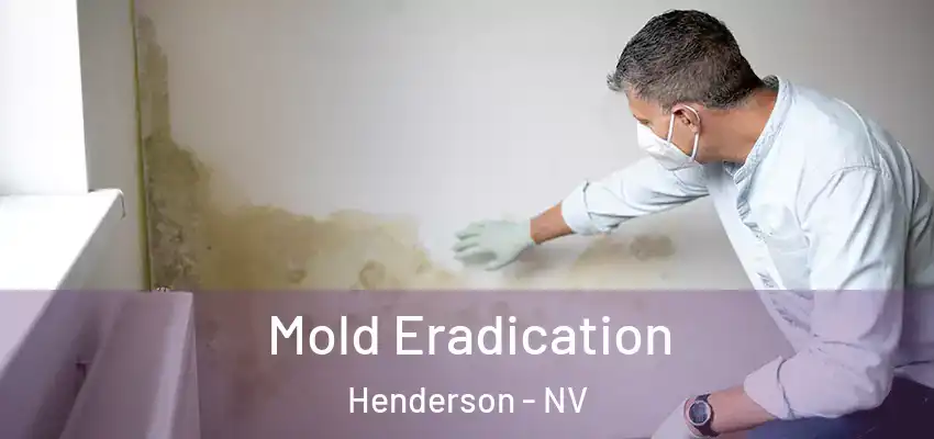 Mold Eradication Henderson - NV