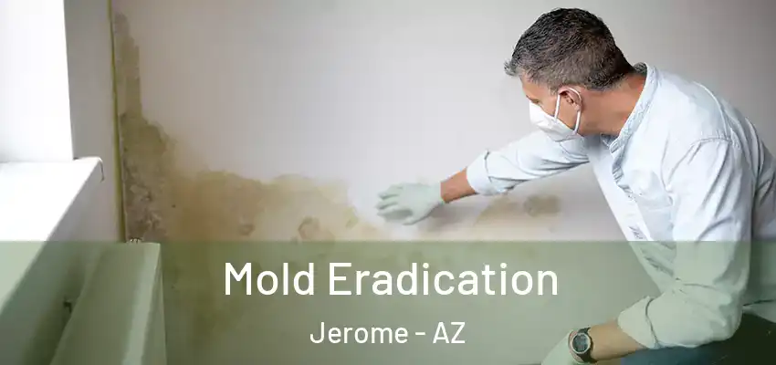 Mold Eradication Jerome - AZ