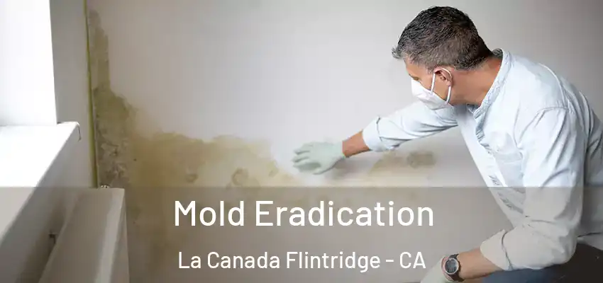 Mold Eradication La Canada Flintridge - CA