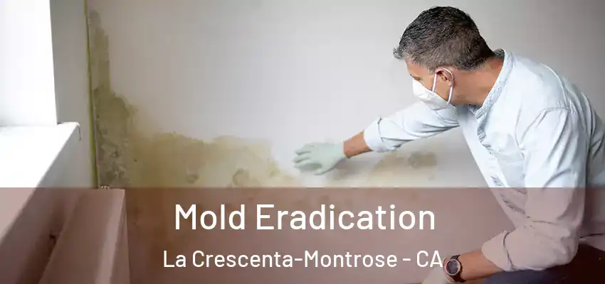  Mold Eradication La Crescenta-Montrose - CA