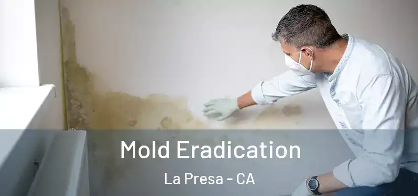 Mold Eradication La Presa - CA
