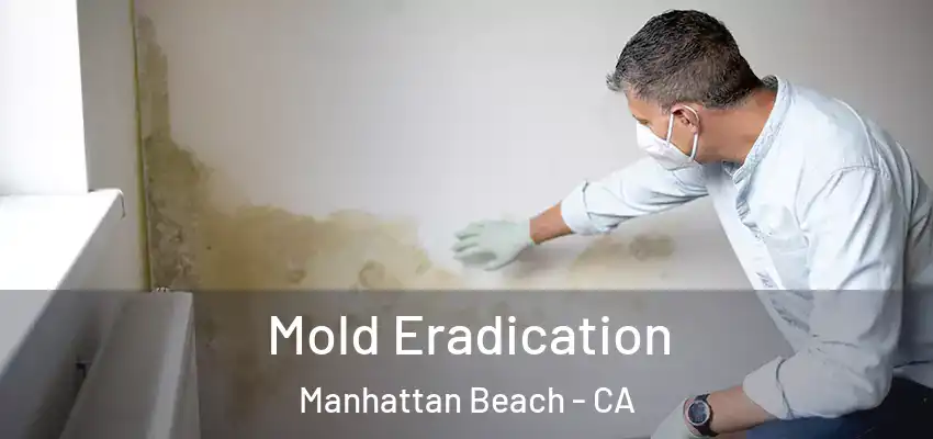 Mold Eradication Manhattan Beach - CA