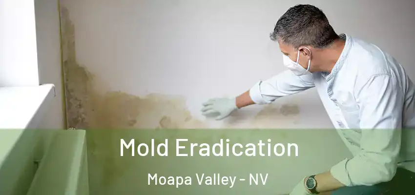  Mold Eradication Moapa Valley - NV