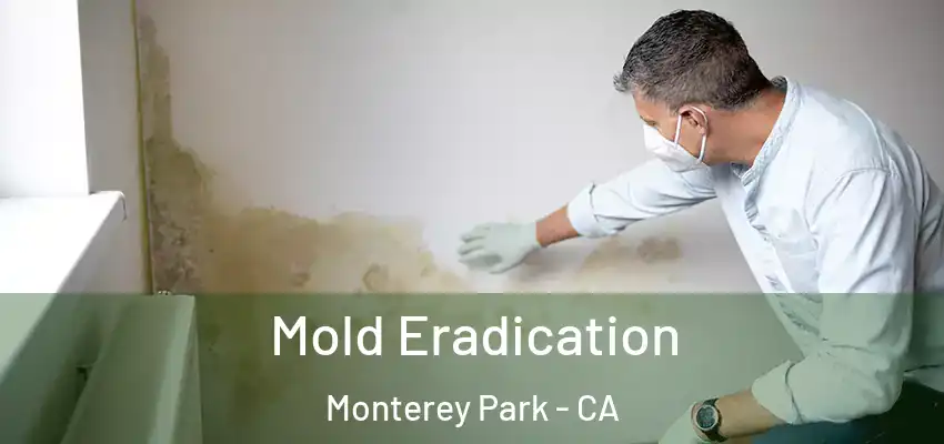  Mold Eradication Monterey Park - CA