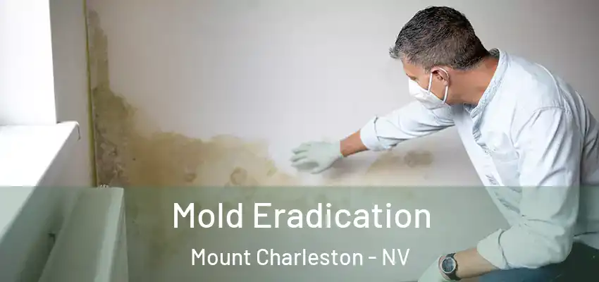  Mold Eradication Mount Charleston - NV