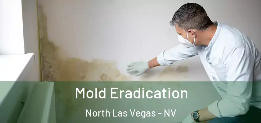  Mold Eradication North Las Vegas - NV