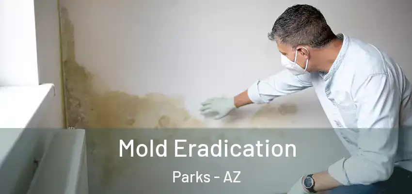  Mold Eradication Parks - AZ