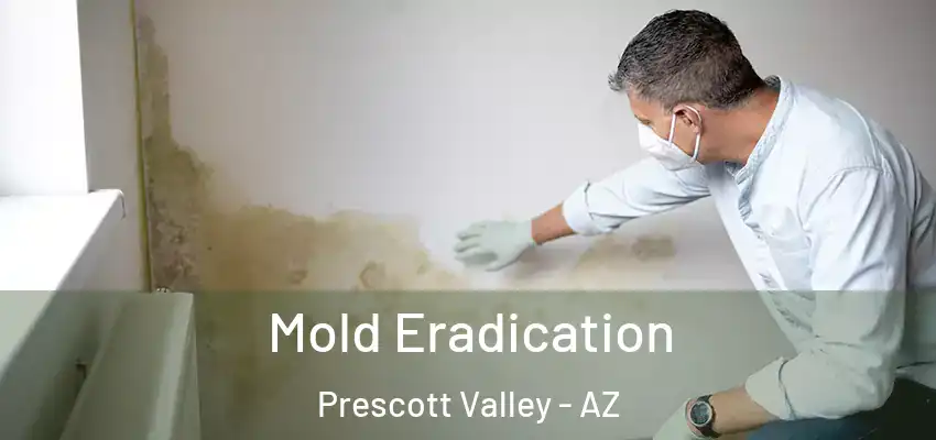  Mold Eradication Prescott Valley - AZ