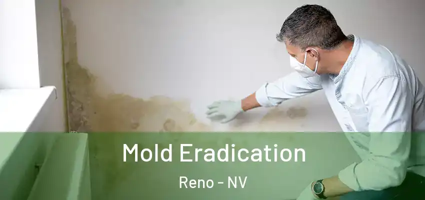 Mold Eradication Reno - NV