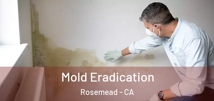Mold Eradication Rosemead - CA