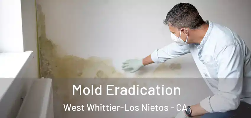 Mold Eradication West Whittier-Los Nietos - CA