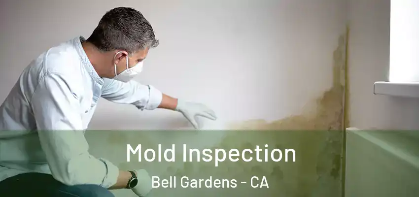 Mold Inspection Bell Gardens - CA