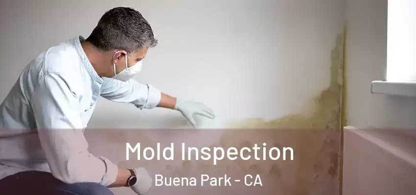 Mold Inspection Buena Park - CA