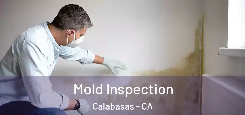  Mold Inspection Calabasas - CA