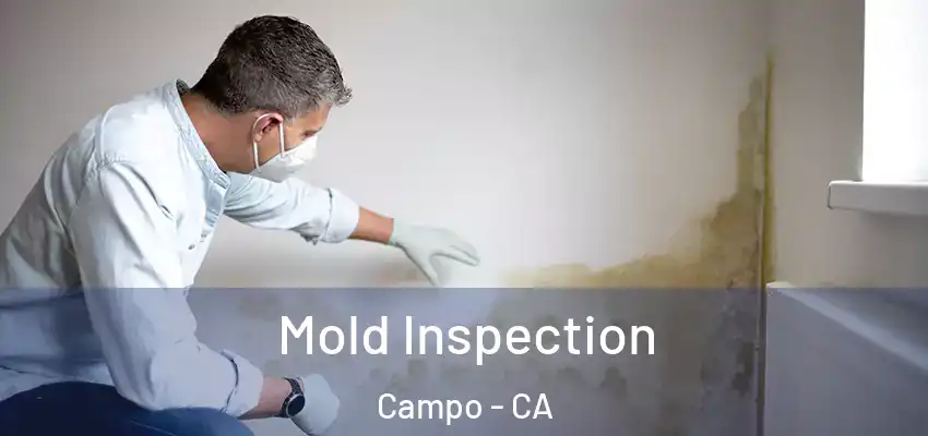  Mold Inspection Campo - CA