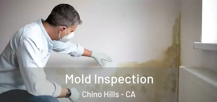  Mold Inspection Chino Hills - CA