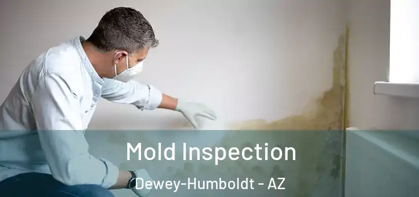  Mold Inspection Dewey-Humboldt - AZ