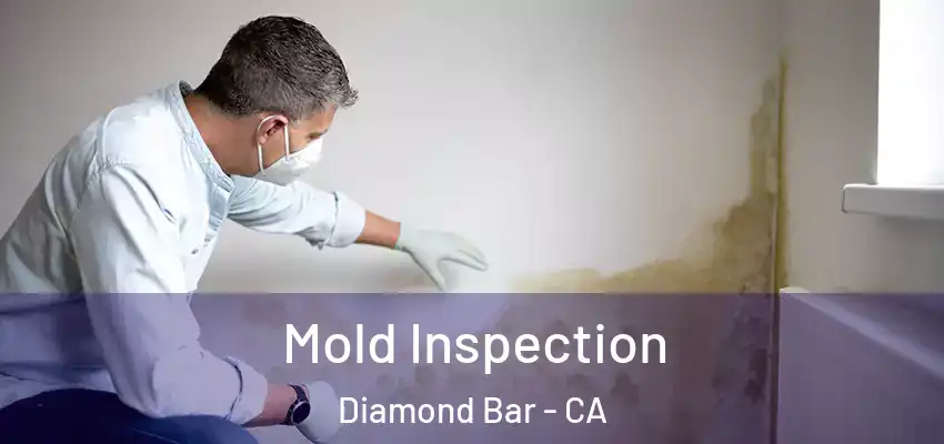 Mold Inspection Diamond Bar - CA