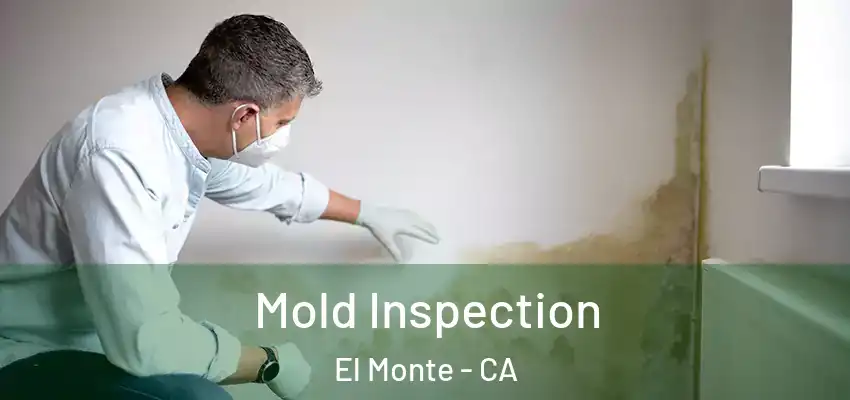  Mold Inspection El Monte - CA
