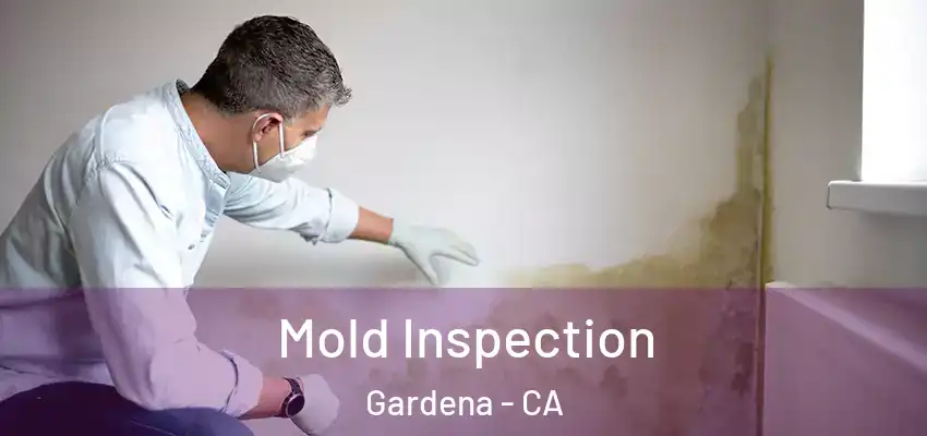  Mold Inspection Gardena - CA