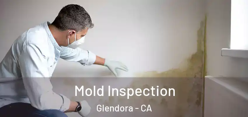  Mold Inspection Glendora - CA