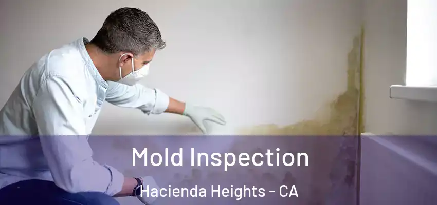 Mold Inspection Hacienda Heights - CA