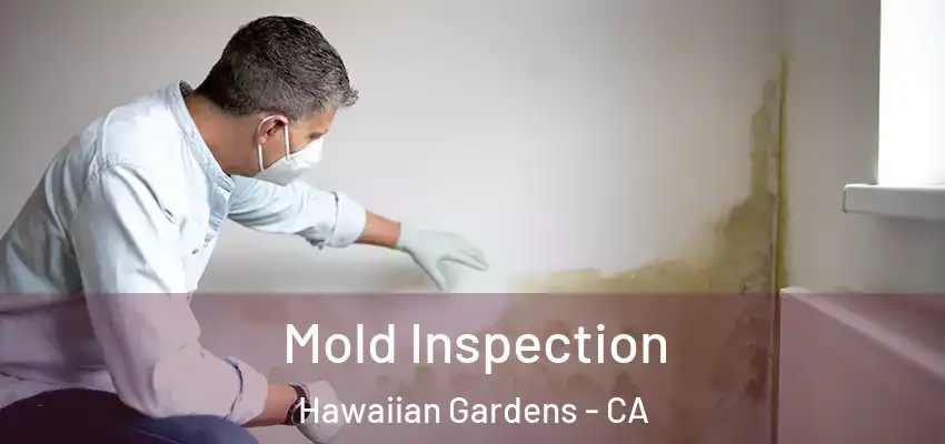 Mold Inspection Hawaiian Gardens - CA