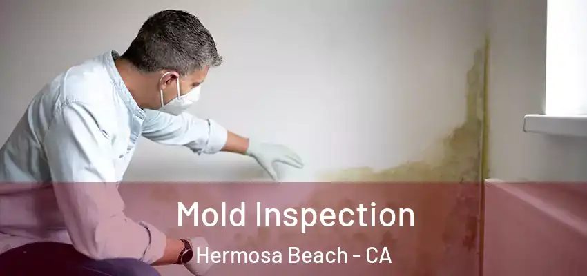  Mold Inspection Hermosa Beach - CA