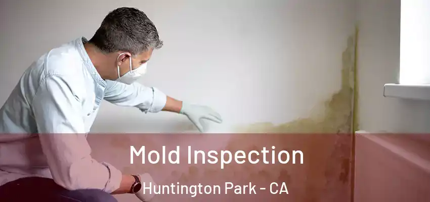 Mold Inspection Huntington Park - CA