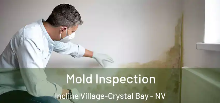 Mold Inspection Incline Village-Crystal Bay - NV