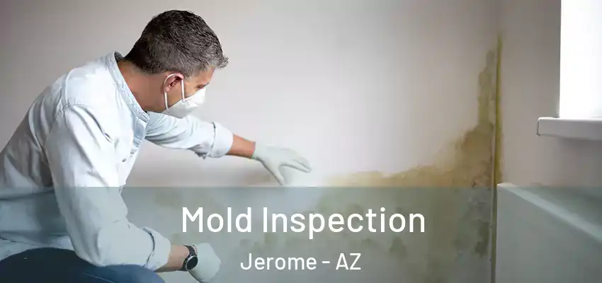 Mold Inspection Jerome - AZ