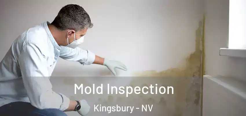  Mold Inspection Kingsbury - NV