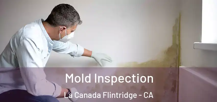  Mold Inspection La Canada Flintridge - CA