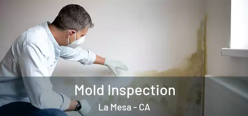  Mold Inspection La Mesa - CA