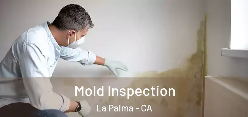  Mold Inspection La Palma - CA