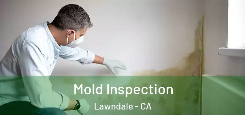 Mold Inspection Lawndale - CA