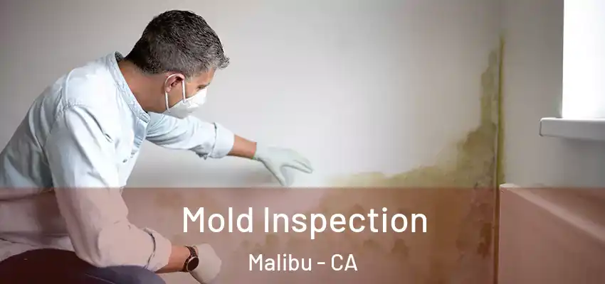 Mold Inspection Malibu - CA